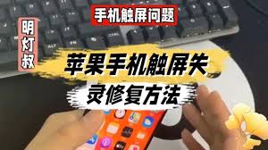 原来的苹果触摸失灵怎么修复