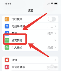 苹果12如何设置默认号码