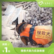 淘宝基金赔付是什么