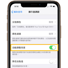 ios12如何关闭自动亮度调节