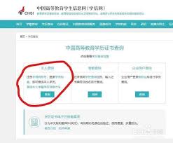学信网怎么查询报告编号信息表