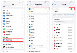 掌握查看iPhone中正在使用精确位置应用的方法