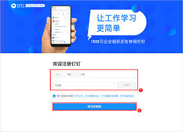如何使用钉钉号登录钉钉