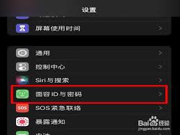 苹果15app下载后如何使用面容识别