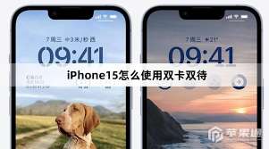 惊爆!iPhone 15究竟是不是双卡双待?答案即将揭晓!