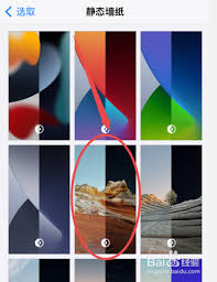 惊爆!苹果 15 锁屏壁纸与桌面壁纸全新设置秘籍大公开!