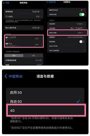 苹果手机如何将5g网络切换为4g