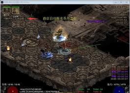 暗黑破坏神2大箱子(plugy)10.0如何开启