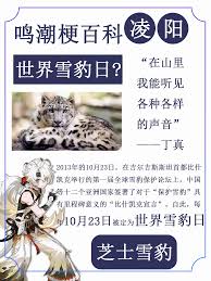 芝士雪豹是什么由来