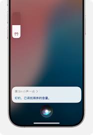 苹果手机如何更换Siri声音