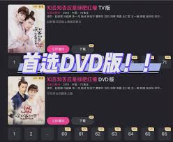 电视剧DVD版是何含义
