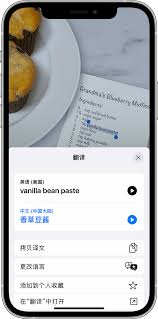 苹果15实况文本如何使用