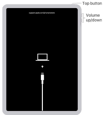 iPad恢复模式数据会丢失吗