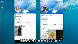 抖音拉黑新样式:突出核心要点,简洁高效凸显拉黑特性