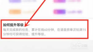tt语音如何提升个人等级