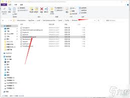 惊爆!正当防卫4改语言方法全,超详细介绍来了!