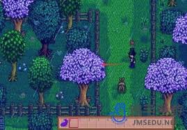 震惊!星露谷物语隐藏雕像获取地点大,速来一探究竟!