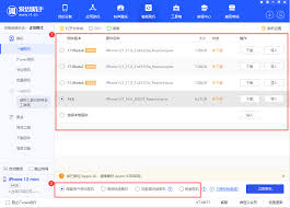 爱思助手ipad已停用如何解锁2024教程