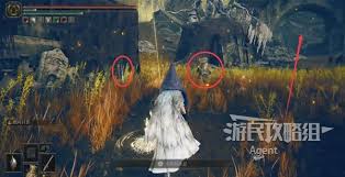 艾尔登法环落叶丹恩在哪打