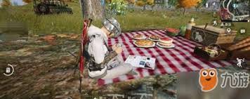 和平精英野餐彩蛋位置大