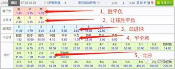 让球胜平负是什么意思