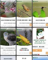 阿弥陀佛,贫僧法号梦遗的含义解析