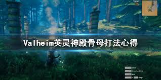 坠落守望者神龟领主怎么打