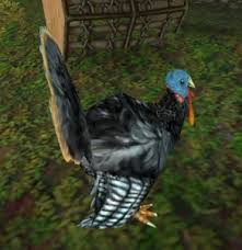 魔兽世界火鸡末日成就攻略