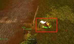 魔兽世界乌龟服如何获得乌龟坐骑