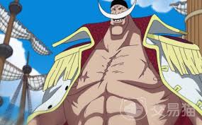 航海王壮志雄心白胡子角色怎么介绍