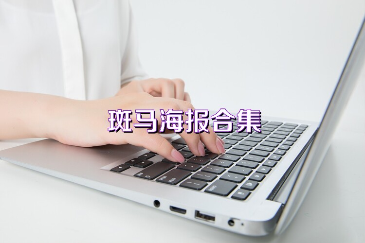 斑马海报合集