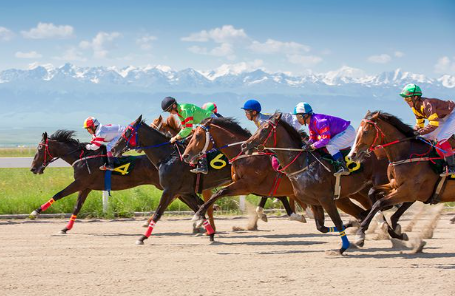 养马赛马类游戏