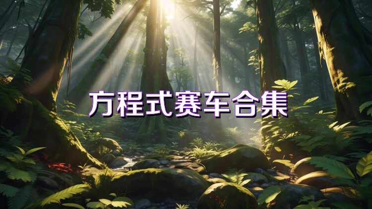 方程式赛车合集