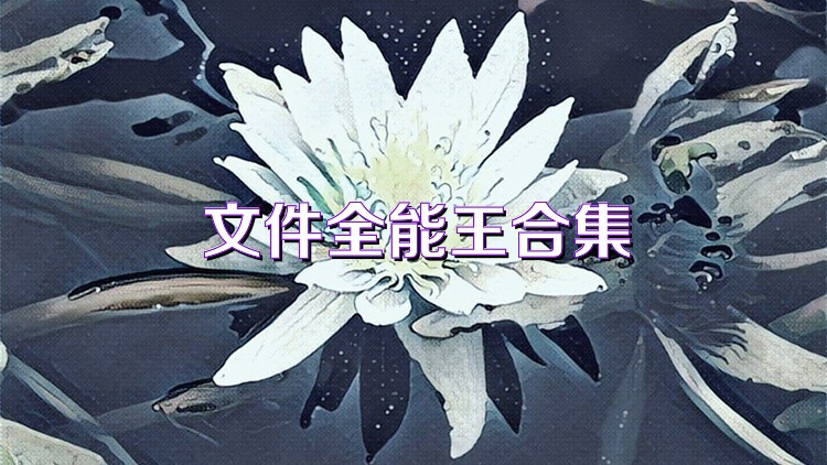 文件全能王合集