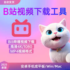 bilibili电脑版网页链接