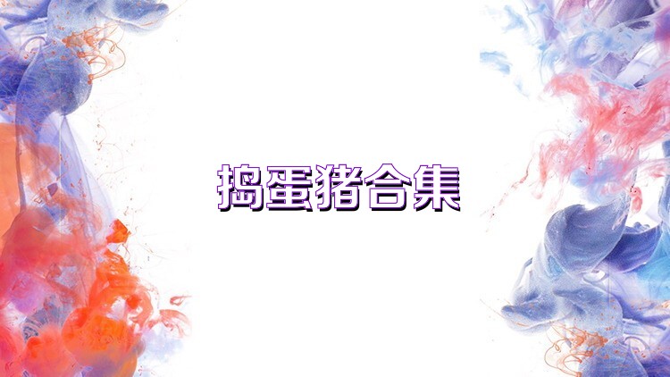 捣蛋猪合集