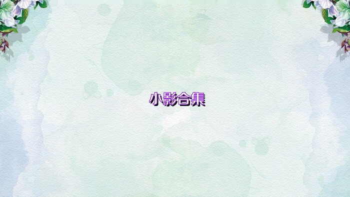 小影合集