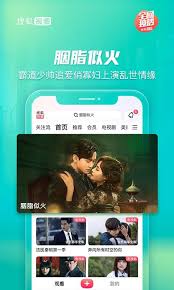 搜狐视频app官方版
