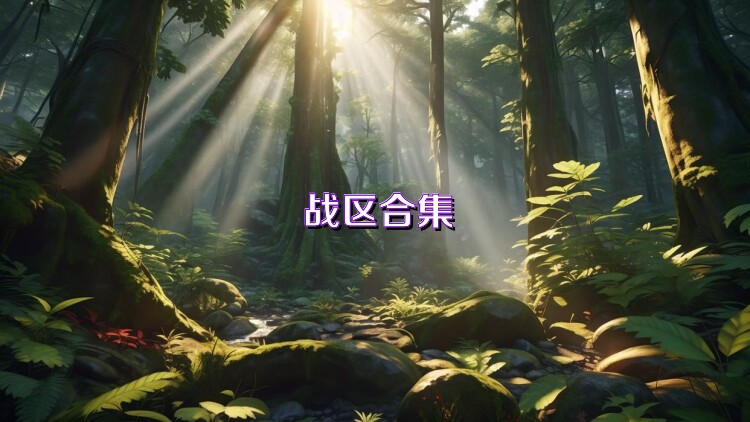 战区合集