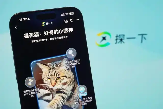 支付宝“探一下”来袭,AI视觉搜索让探索世界更简单!