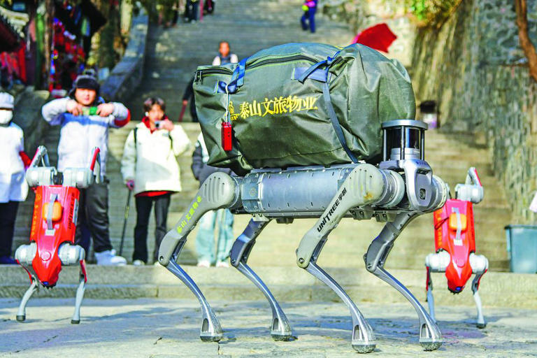 机器狗泰山行:智能探索,挑战极限,创造历史!
