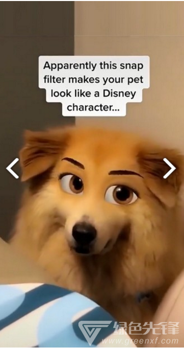 迪士尼滤镜(snapchat迪士尼滤镜)V1.1 安卓免费版0