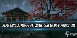 光明记忆无限如何获取舍利子