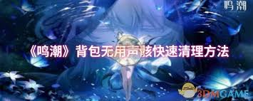 鸣潮2.0如何高效整理背包声骸