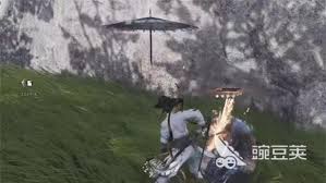 燕云十六声伞武学怎么偷师九重春色攻略