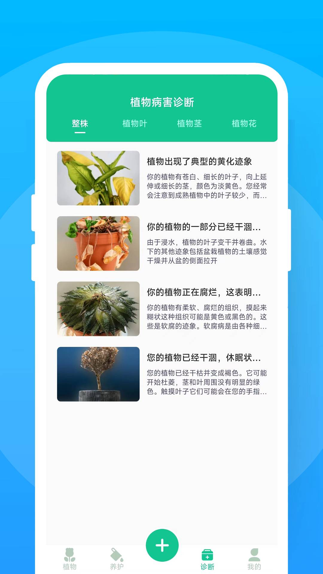暖暖花花1