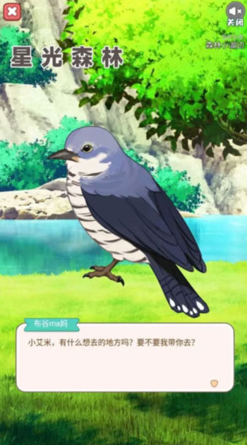 星光森林0