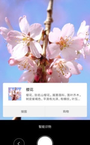 智能识物2