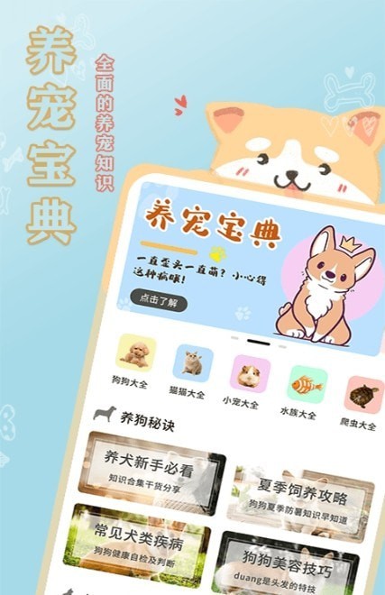 易宠0