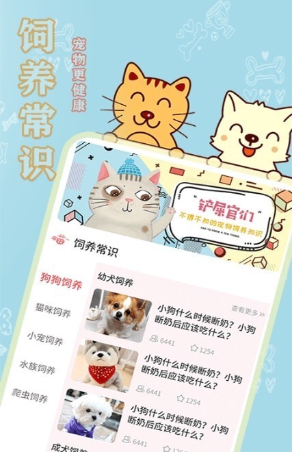 易宠2